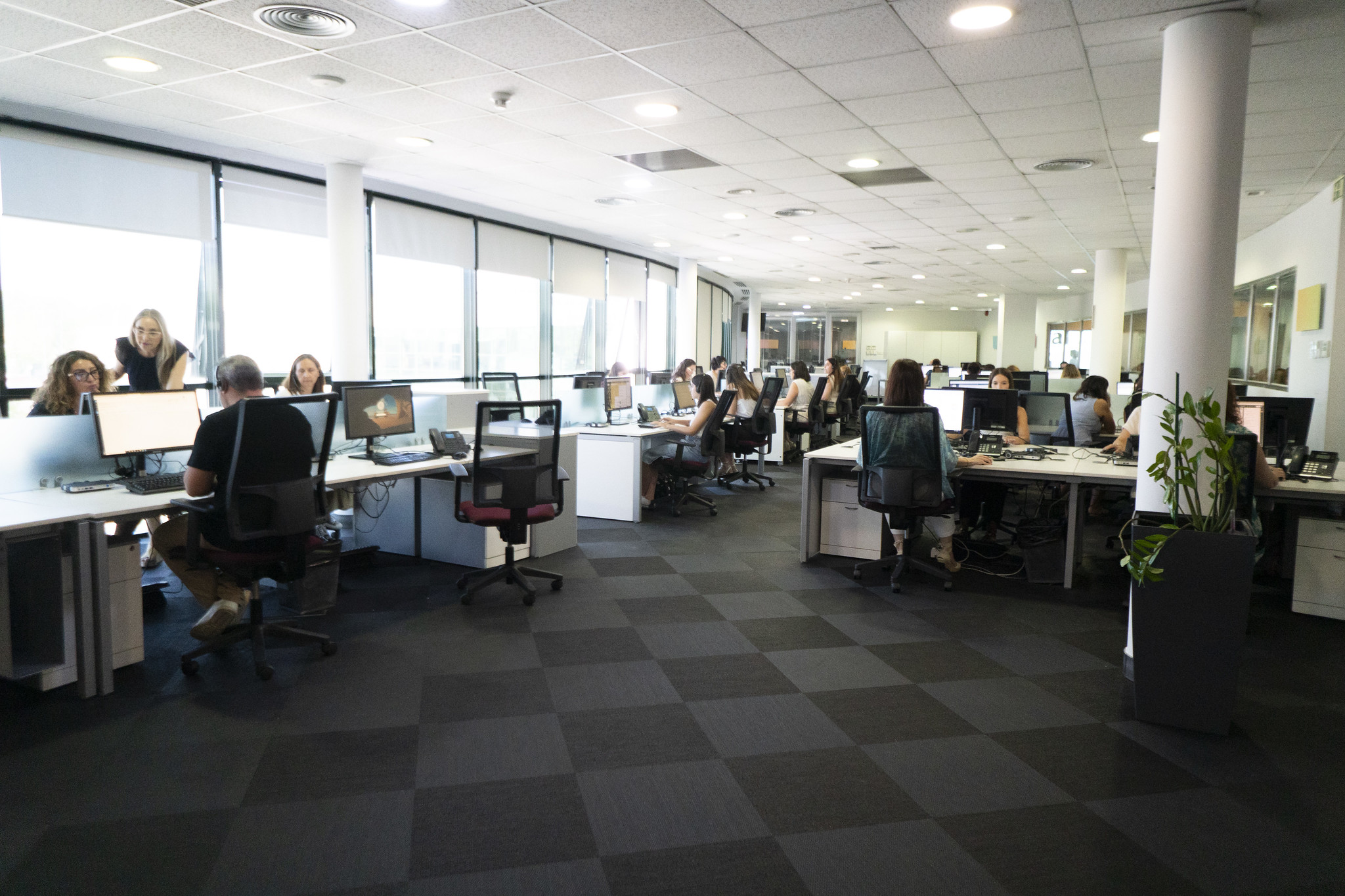 Correduria Seguros Nogal llega a las 5000 reseñas
